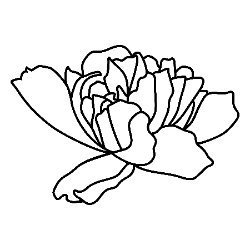 Cleaver and Roses Avatar