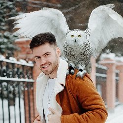 Desktop Presets Avatar