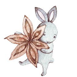 RabbitArtis Avatar