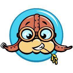 AirTurtle Avatar