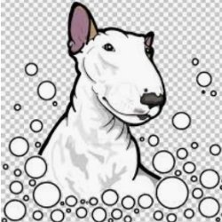 MiaDesignJungle Avatar