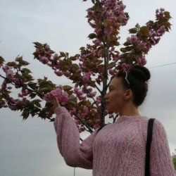 ArtVarStudio Avatar