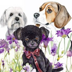 ThreeDogs Avatar