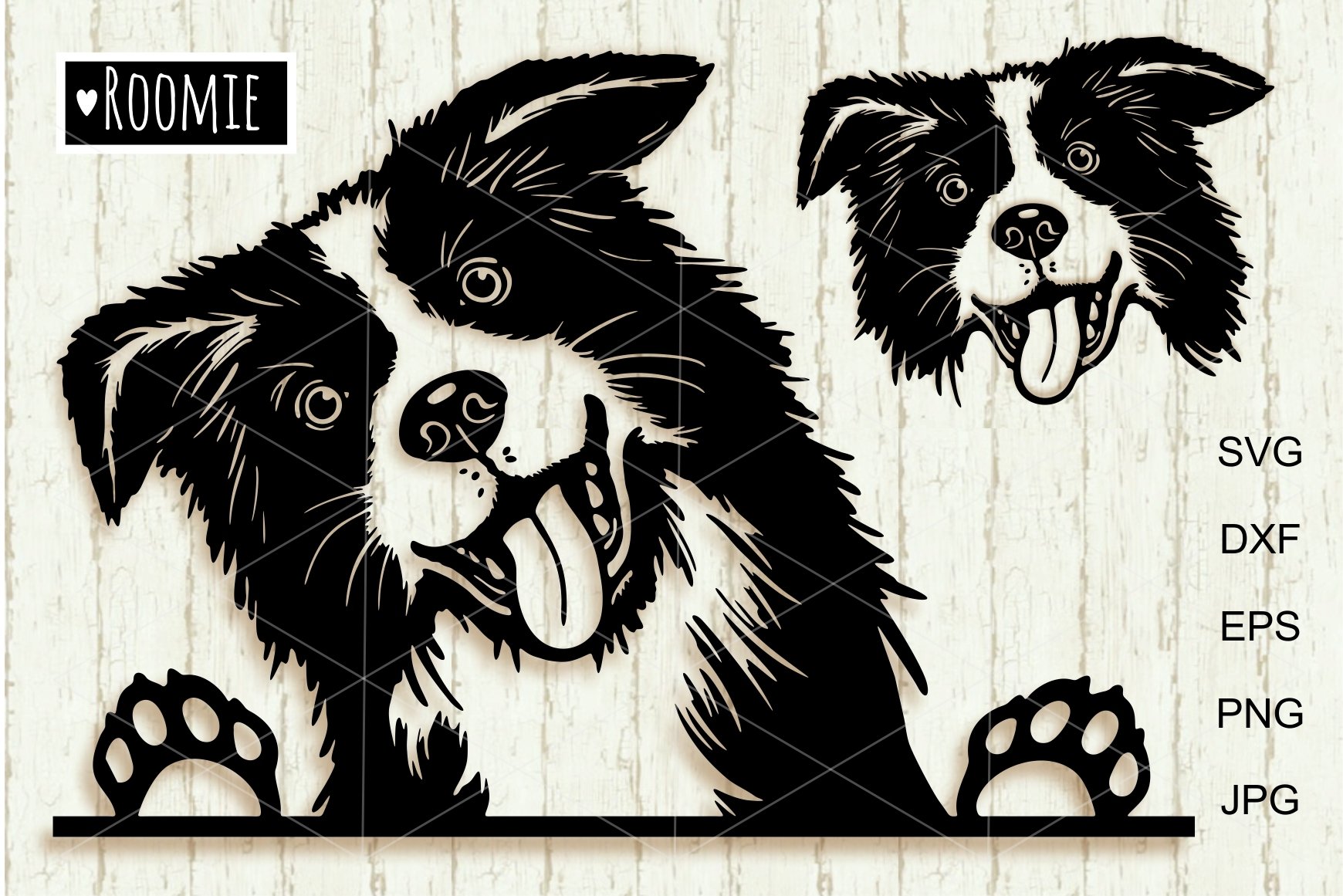 Cute Border collie svg for Cricut, Peeking Dog (1771984)