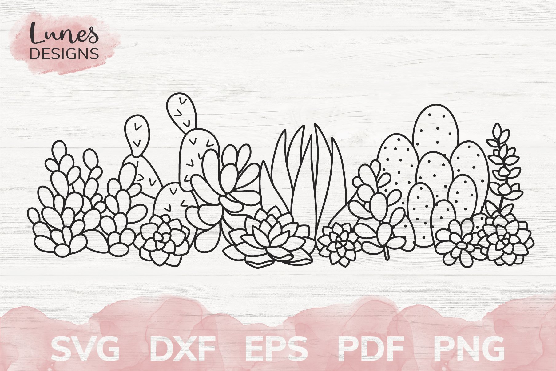 Cactus and succulent border svg (1907666), image size:1808x1205