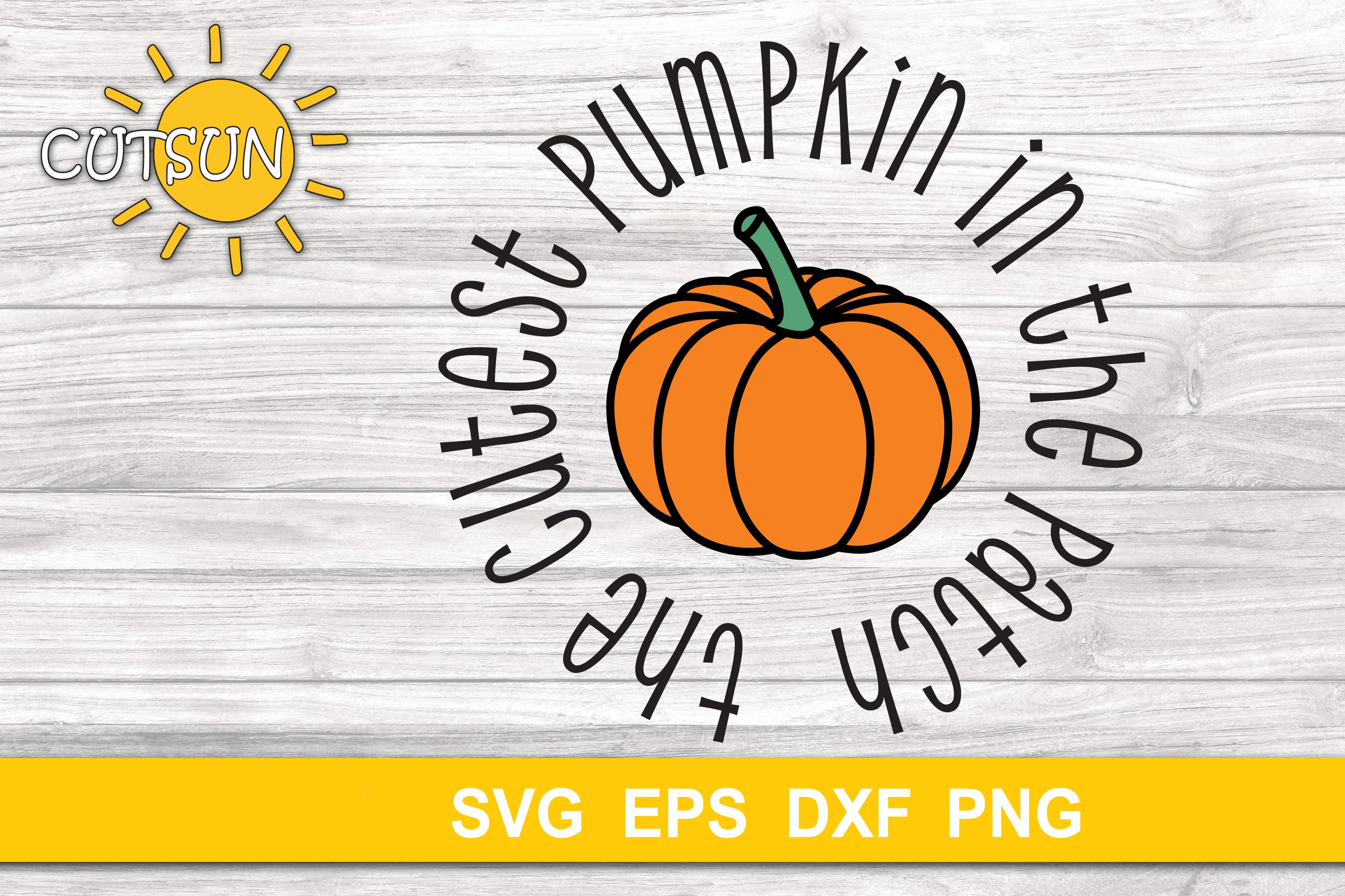 Fall SVG | Pumpkin SVG | The Cutest Pumpkin in the Patch SVG (877325