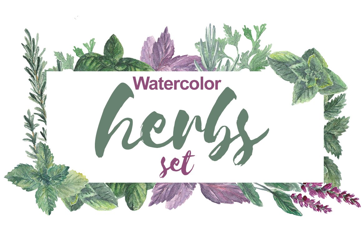 Watercolor herbs set (534690) Decorations Design Bundles