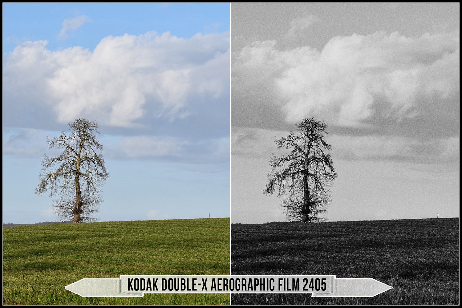 Kodak Portra 800 Lomography 800 Flickr Kodak Portra 800 35mm Film