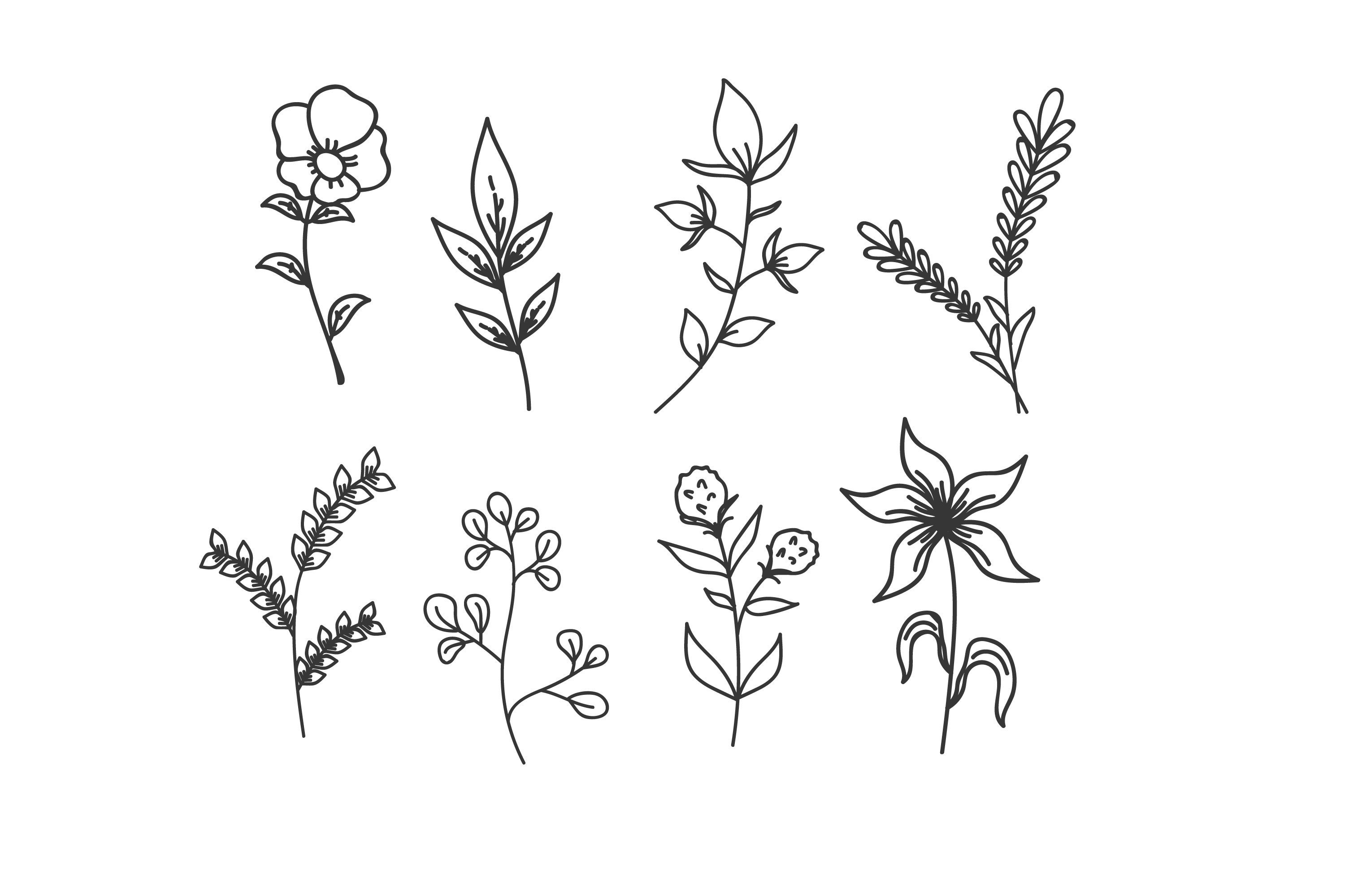 HandDraw With Herb And Flowers Collection