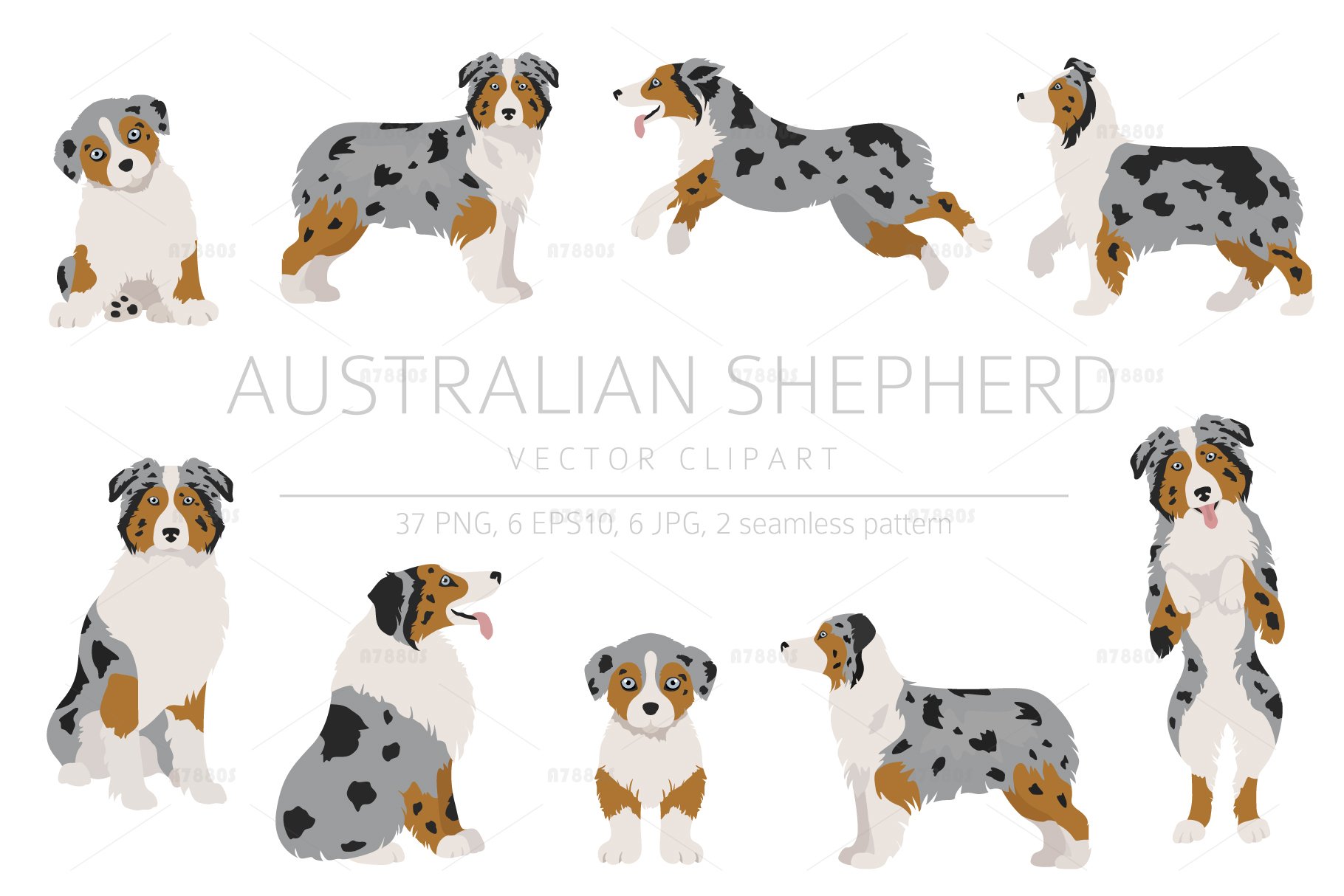Australian shepherd clipart (1048075) | Illustrations | Design Bundles