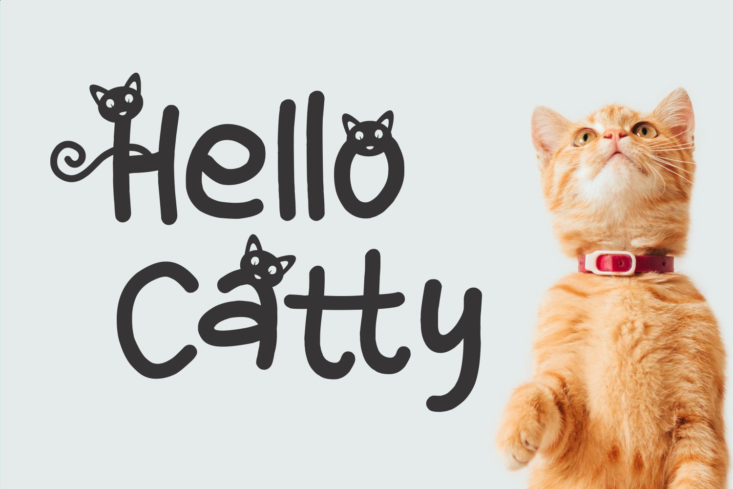 Simple Cat (524820)