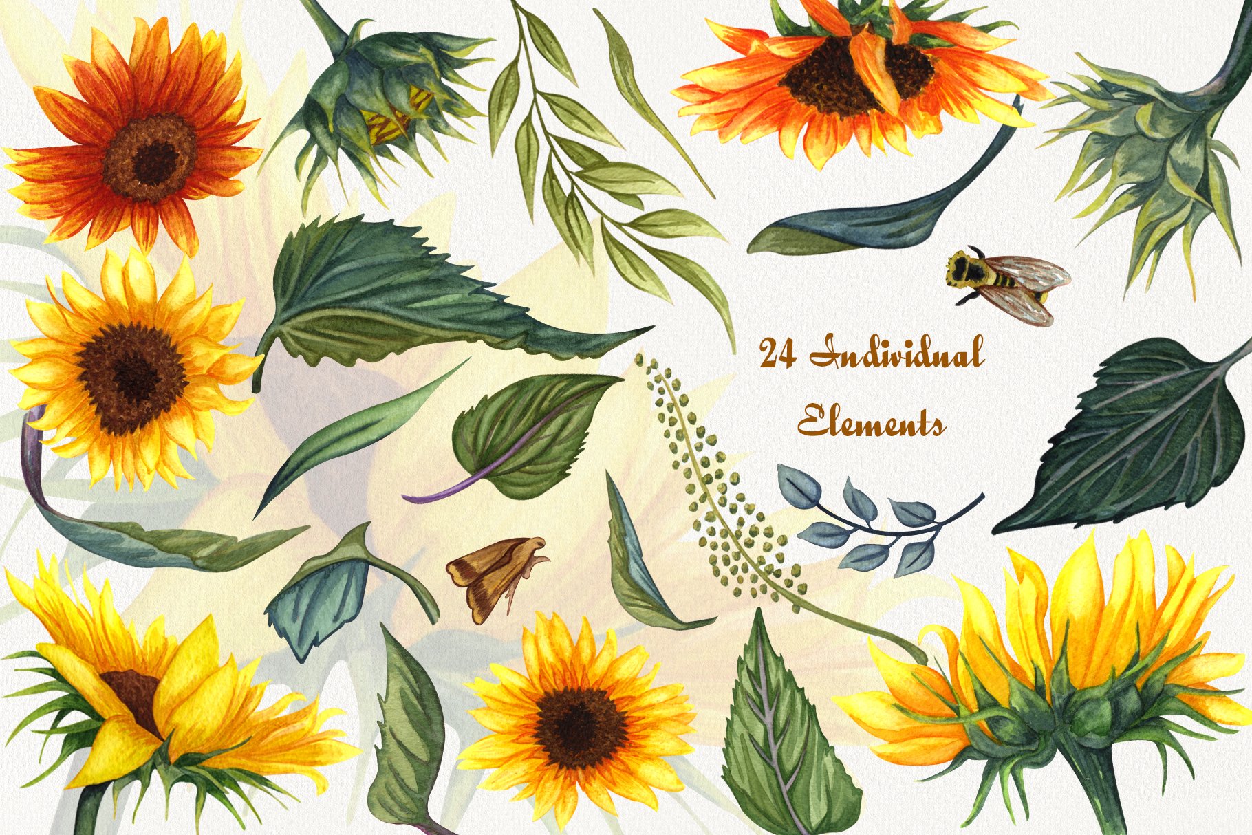 Sunflowers Watercolor ClipArt 300dpi (268597) | Illustrations | Design