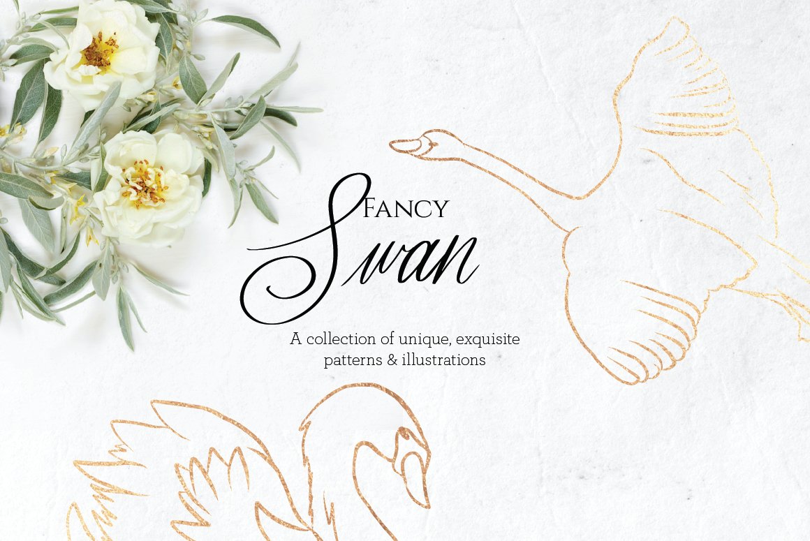 fancy swan