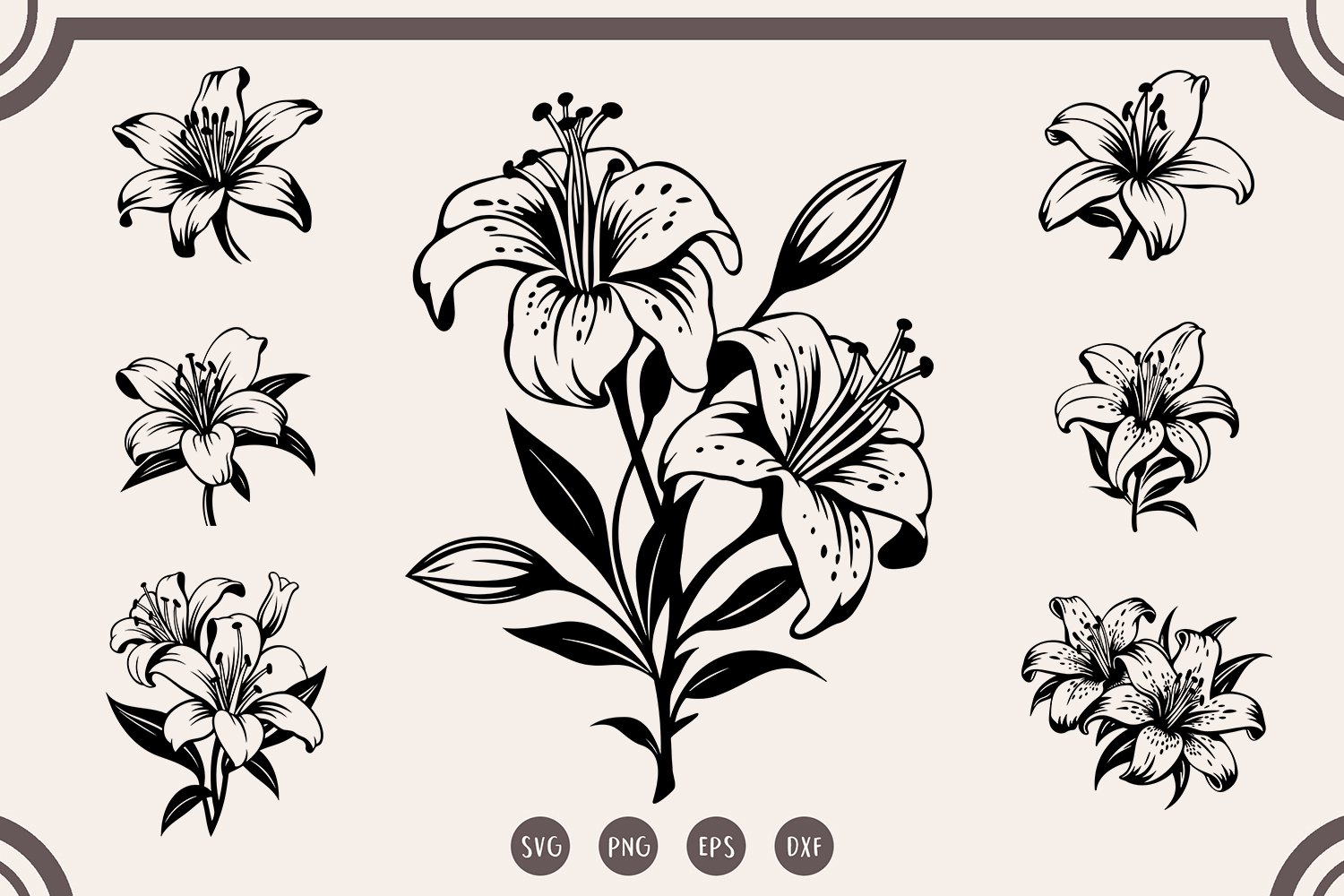 Lily svg Bundle, Lily Flower svg, Lily Cut File svg