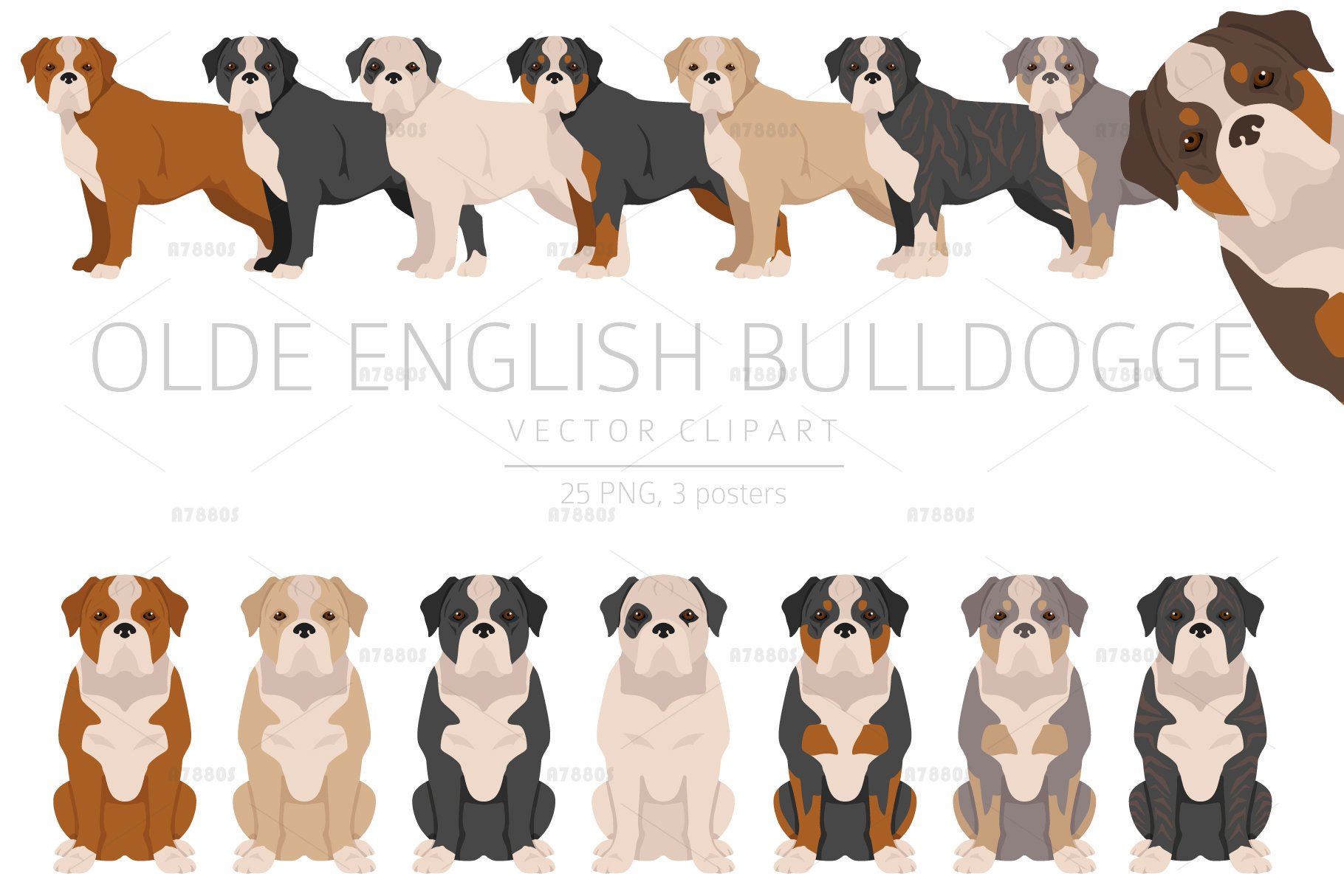 Olde English Bulldogge Clipart | lupon.gov.ph
