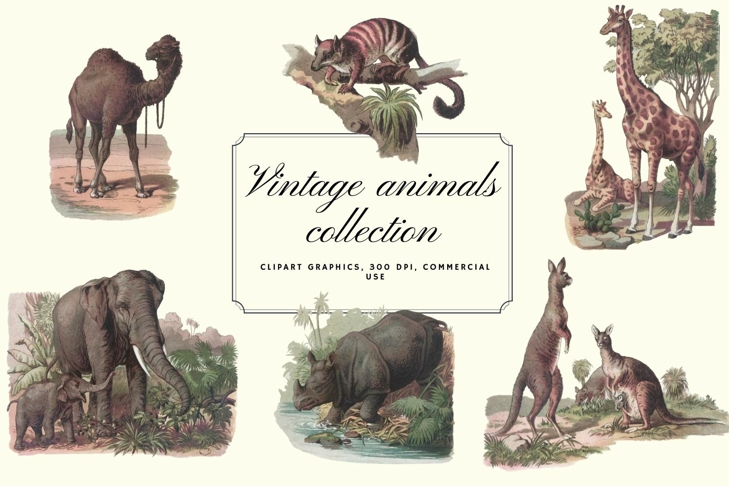 Vintage Elephant Clip Art