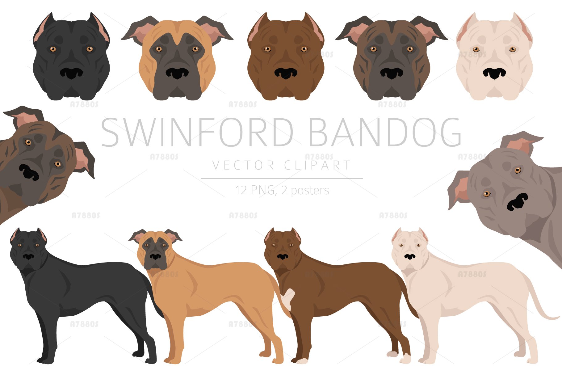 Swinford Bandog clipart