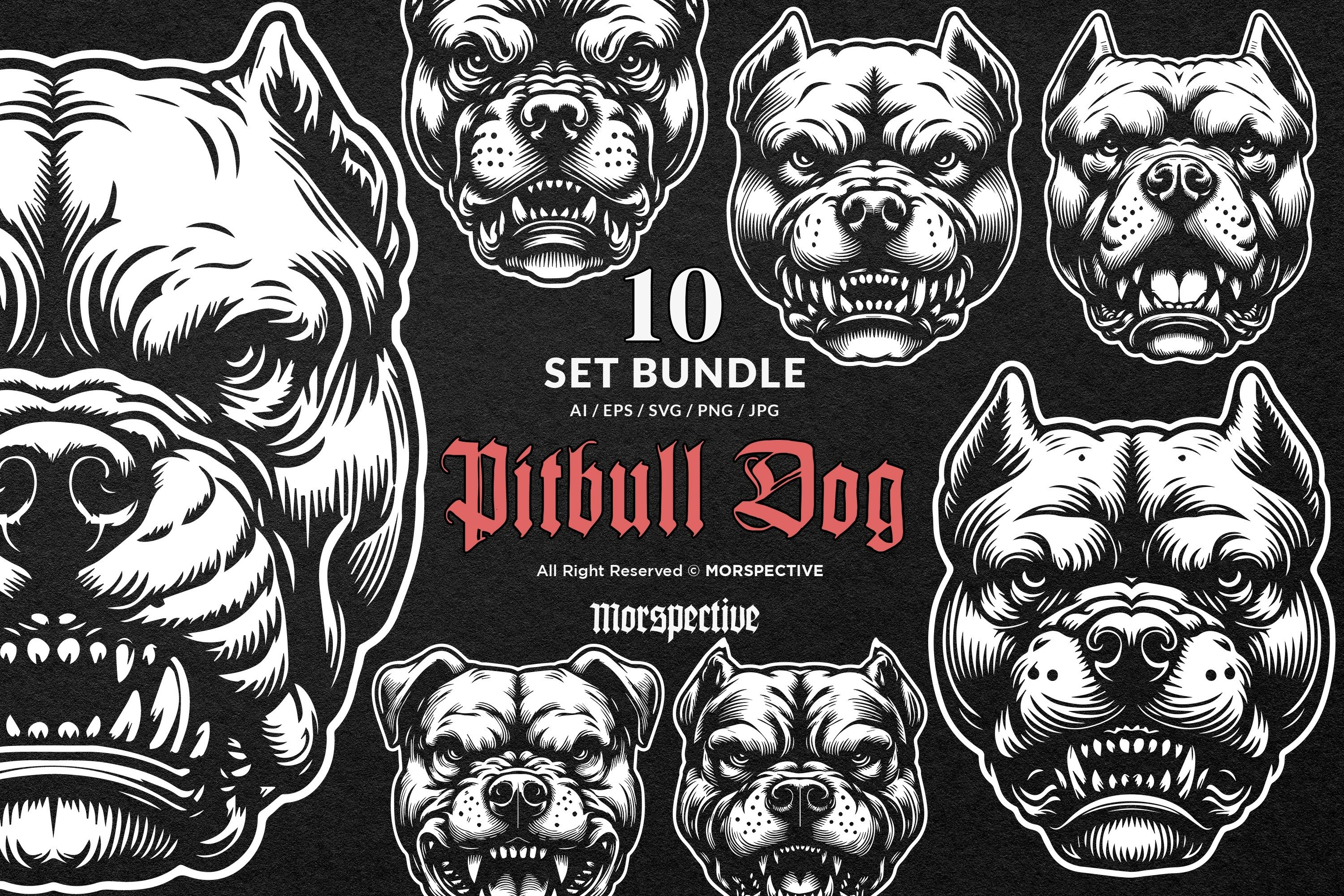 犬服18点&犬グッズJ. PRESS, BLACK PITBULL, LOGOS 犬服18点&犬グッズJ. PRESS, BLACK PITBULL, LOGOS