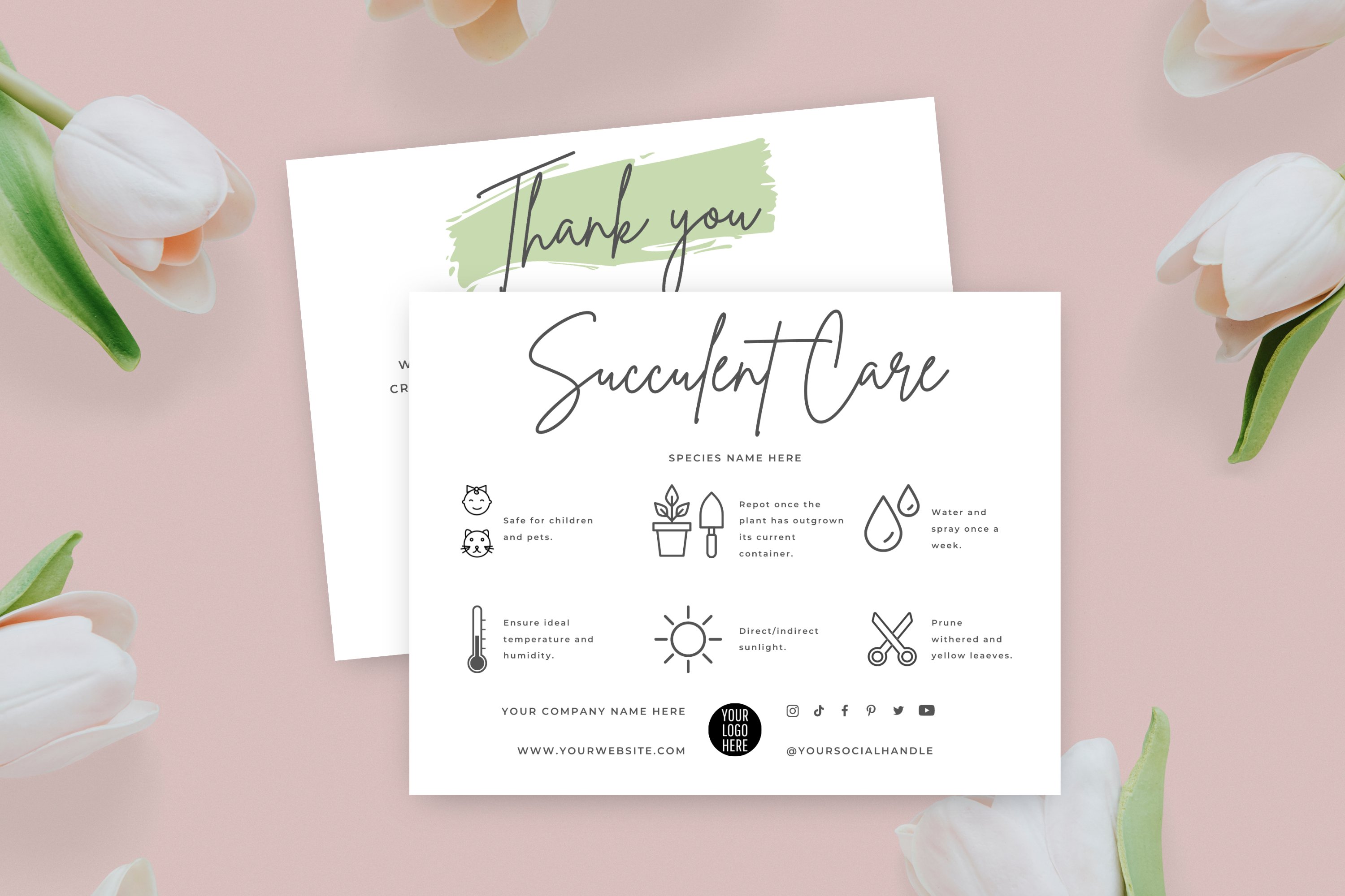 Editable Succulent Care Card Template with Instruction Icons