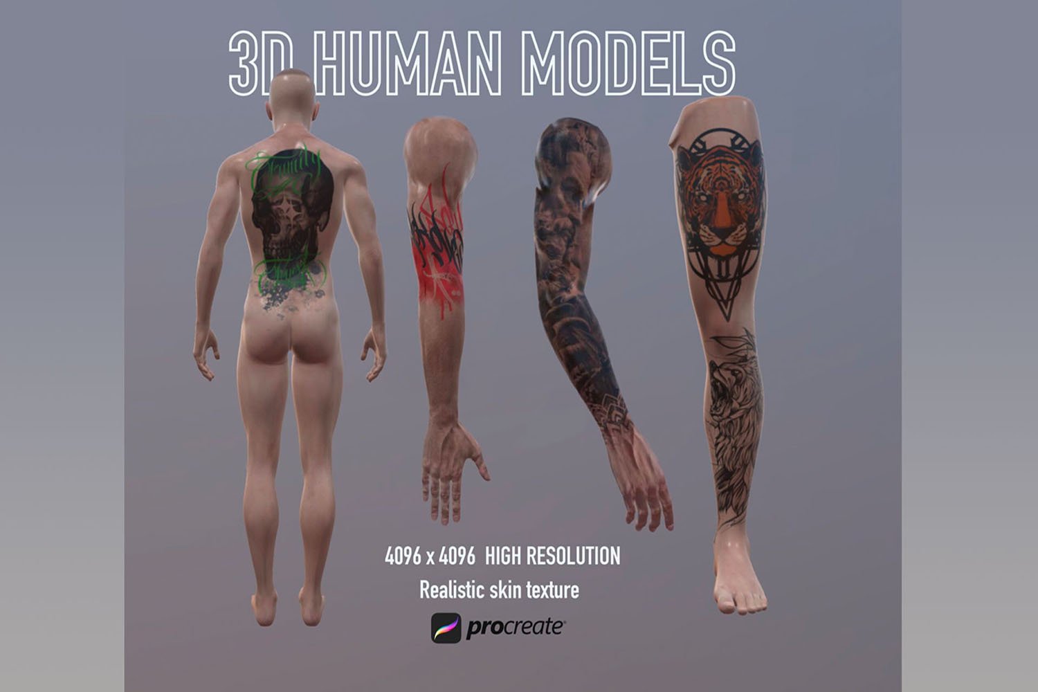 3d Male Model for Procreate.