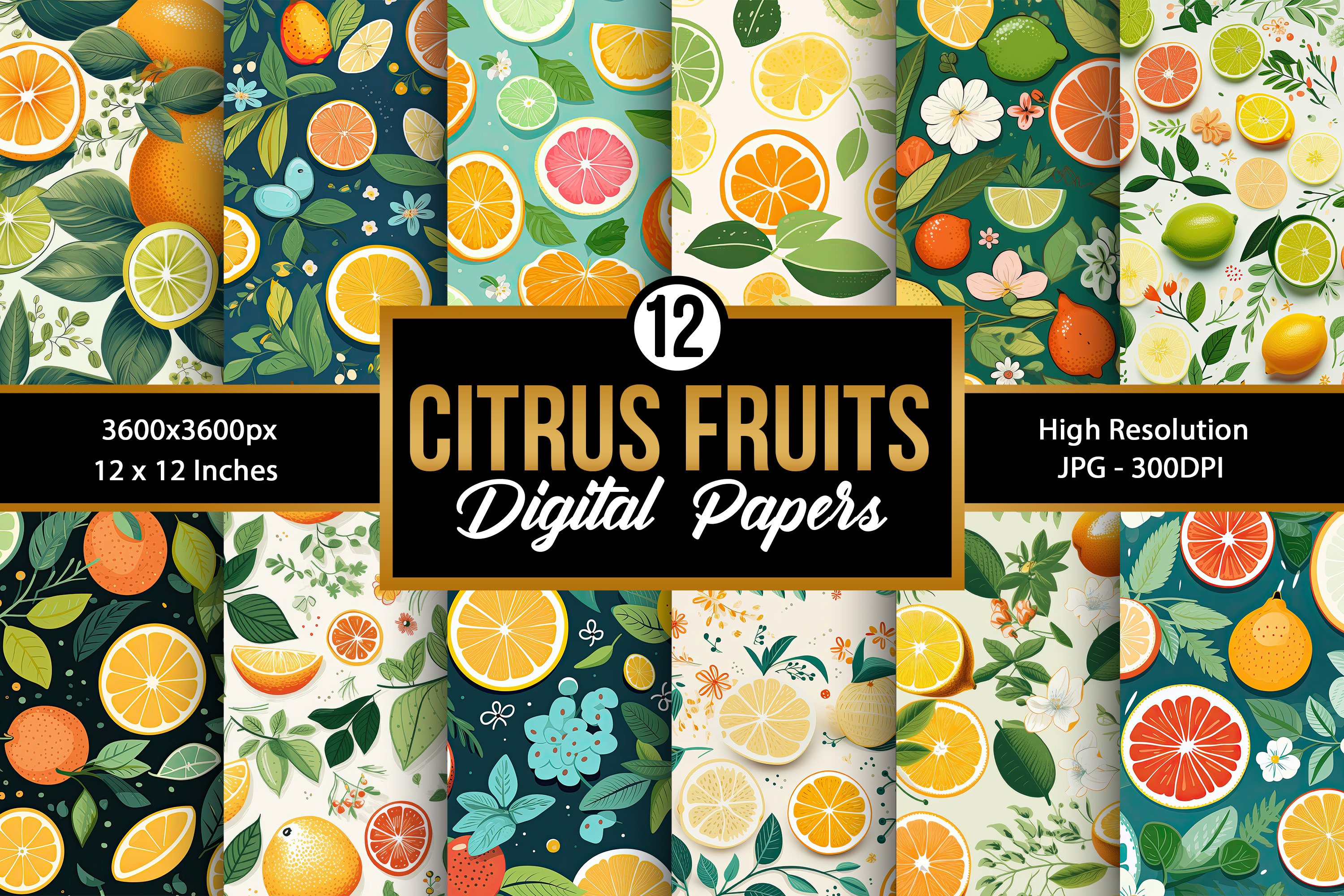 Citrus Fruit High Resolution