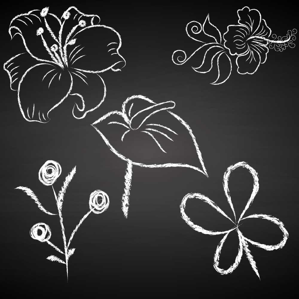 Floral Chalkboard Doodles Clipart (102299) Illustrations Design Bundles