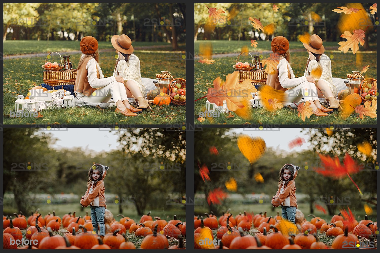 Autumn leaf overlay & overlay Fall overlay (895365) Actions