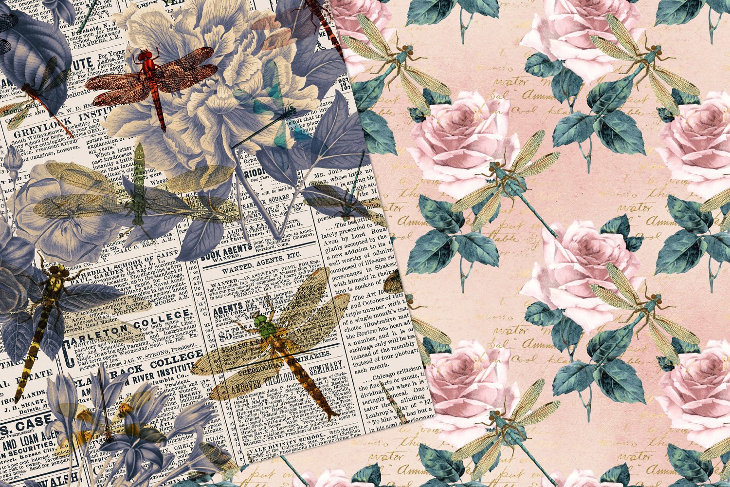 Dragonfly facts national geographic picture