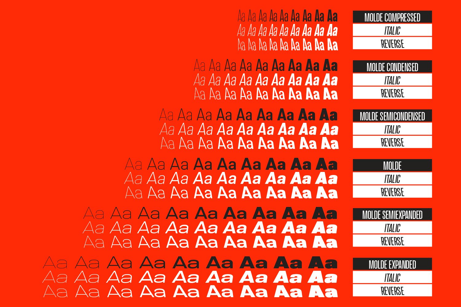 Molde (36532) | Regular | Font Bundles