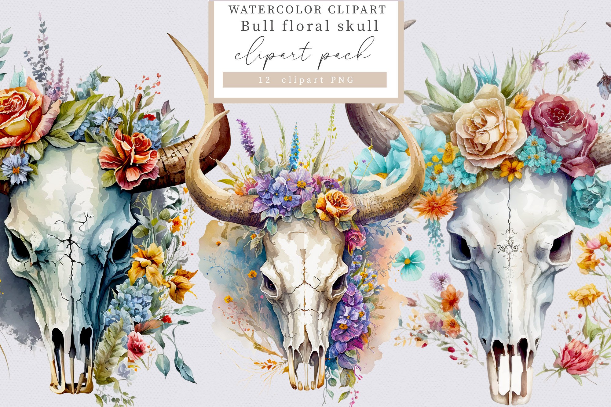Steer Skull Clip Art