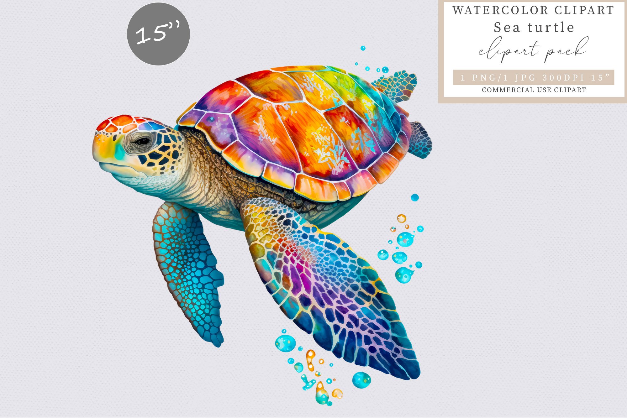 Colorful Turtles Clipart