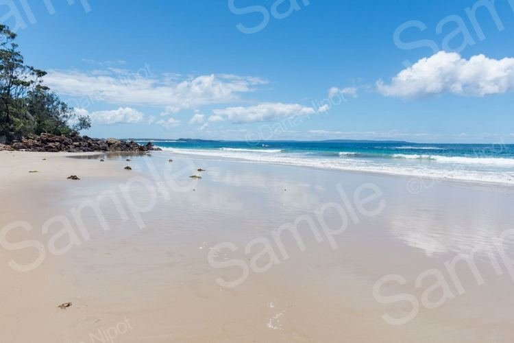 Tropical Paradise Beach Background Nature Design Bundles