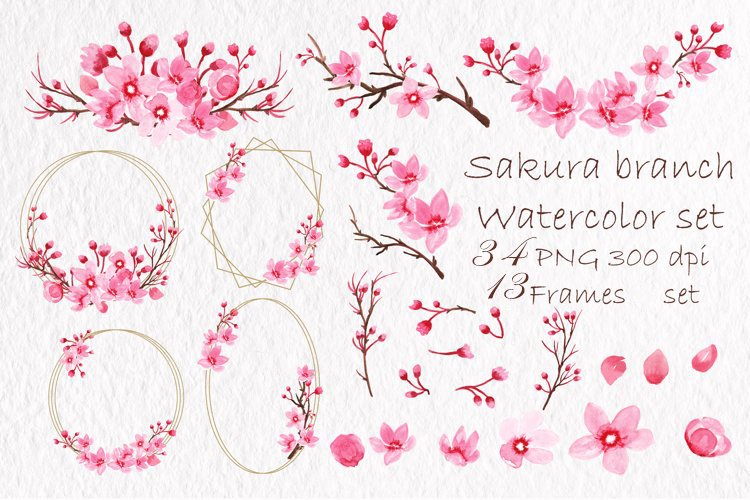 Watercolor sakura flowers clipart Pink floral individual PNG Spring ...