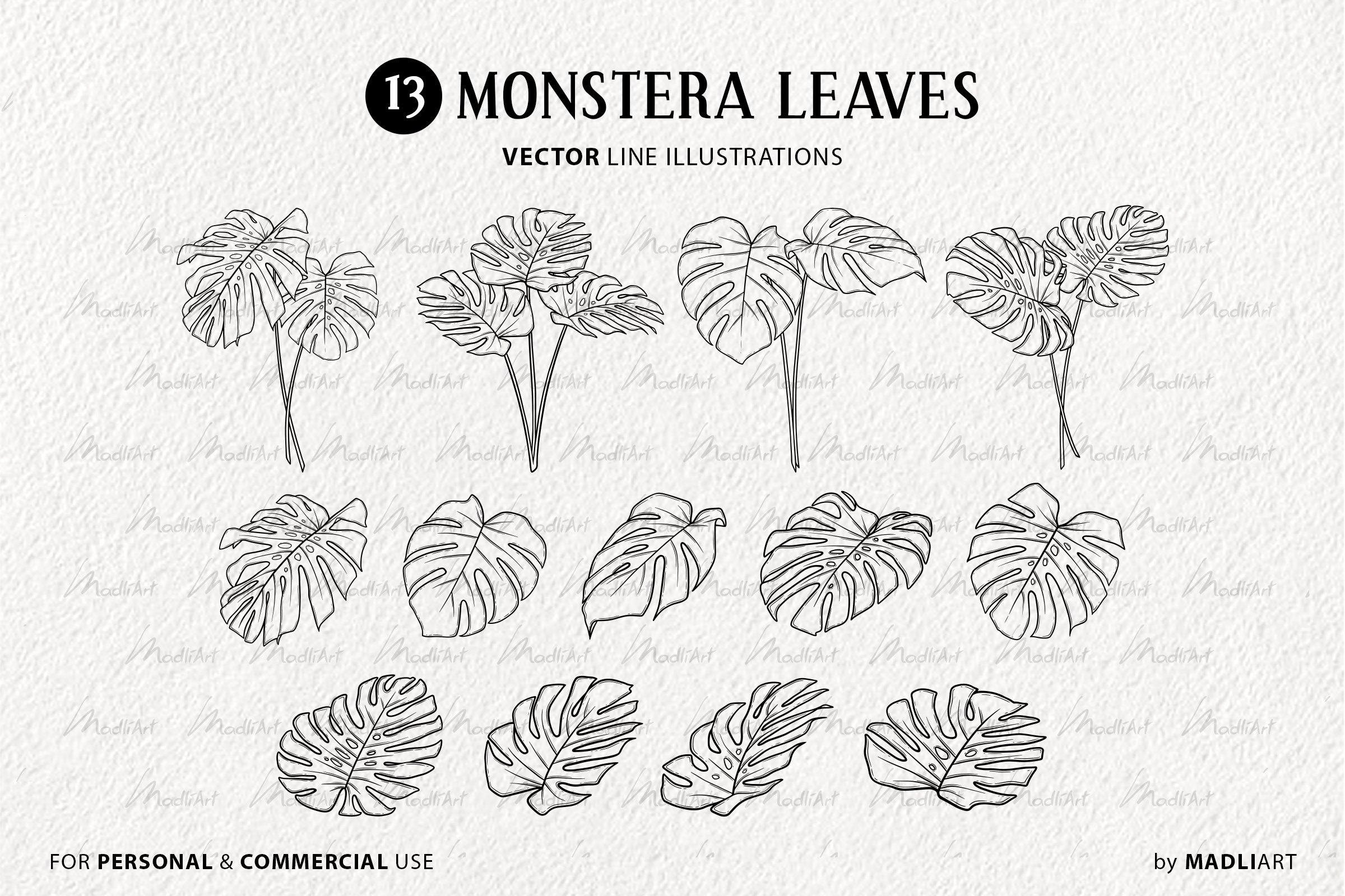 13 Monstera Leaves Vector Clipart. Tropical Plant Leaf SVG