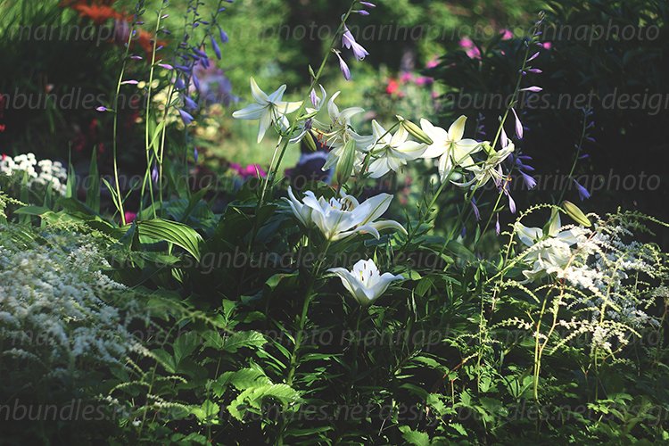 Garden Flower Set SVG File