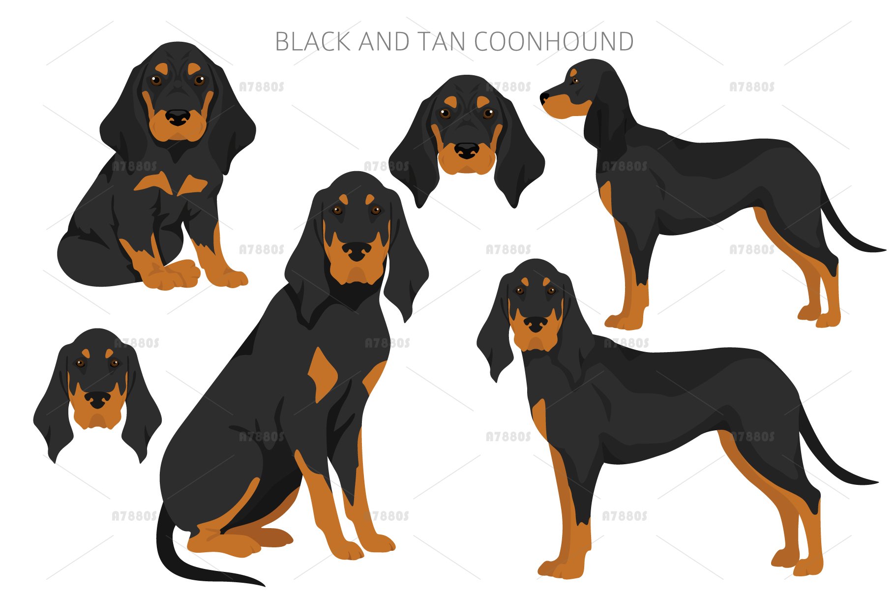 Black And Tan Coonhound Dog Tan Coonhound Walker Coonhound Lab Mix