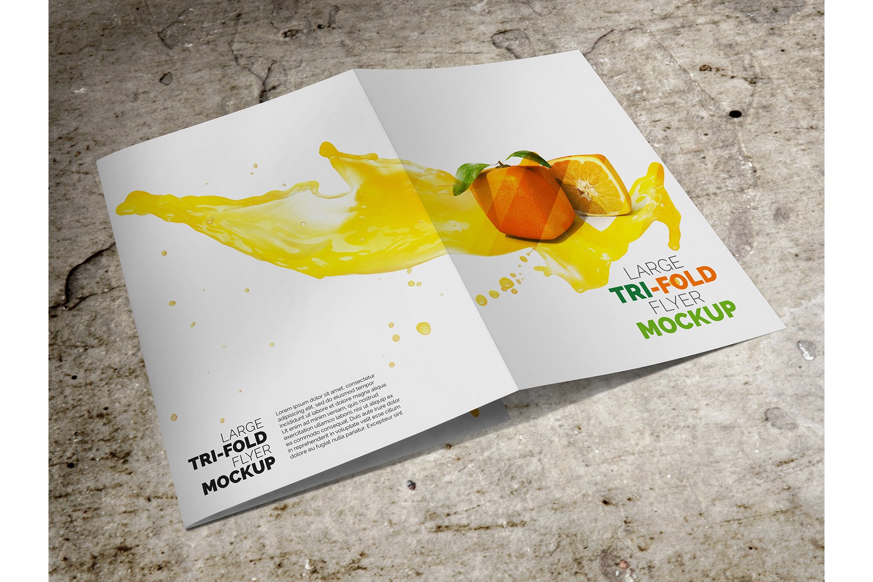 Download Large Trifold Brochure Mockup 17834 Branding Design Bundles