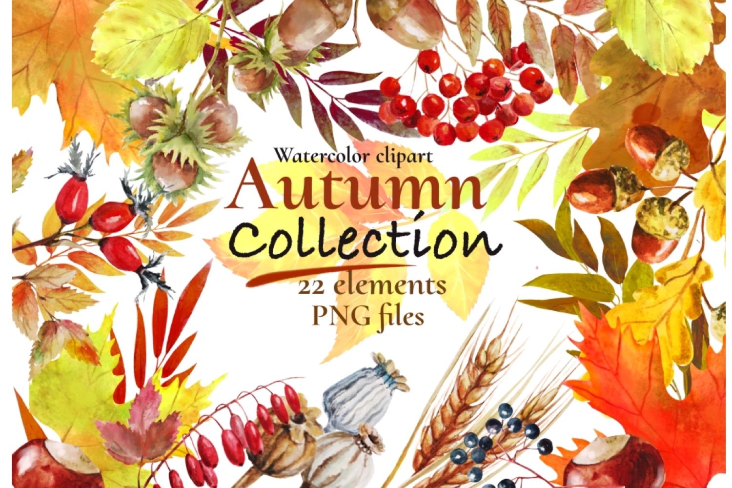 Download Autumn Leaves Watercolor Clipart Fall Leaves Clipart 924405 Illustrations Design Bundles