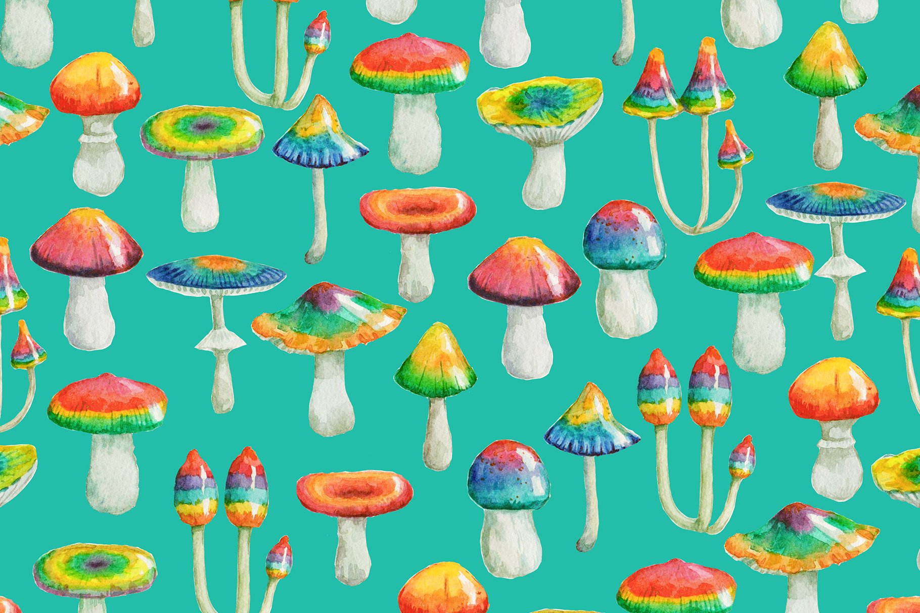 Types of mushrooms to eat picture