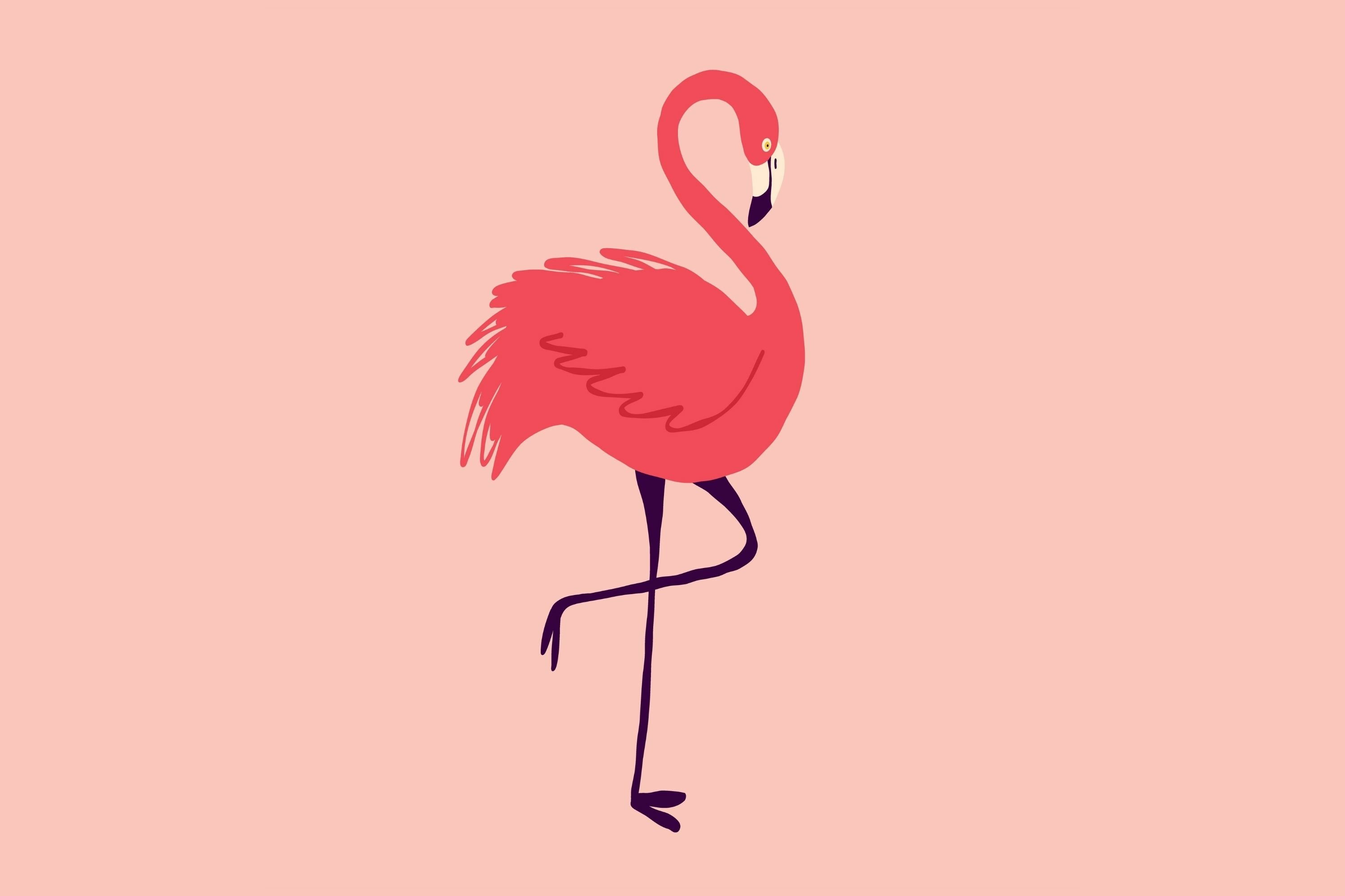 Flamingo Graphic | Design Bundles