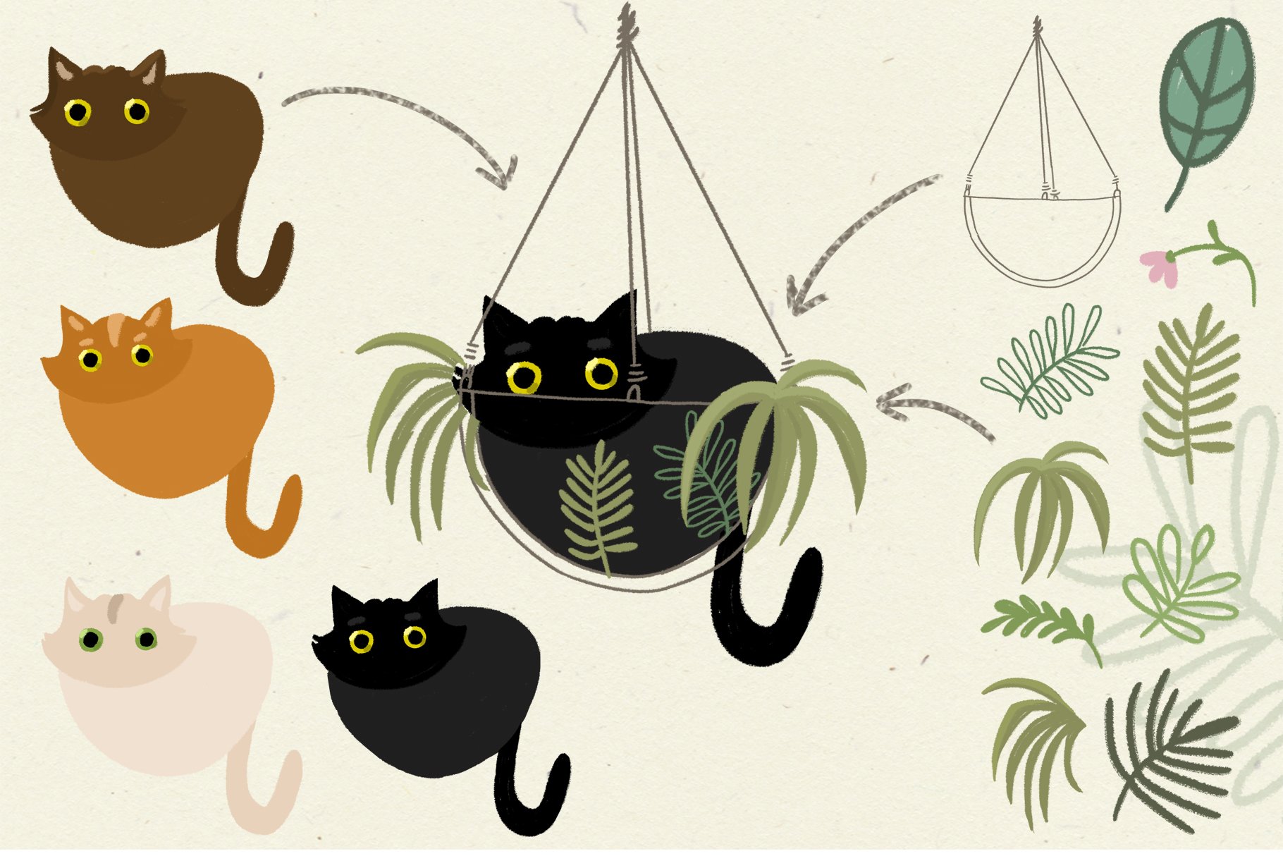 cat creator collection (788736) Illustrations Design Bundles