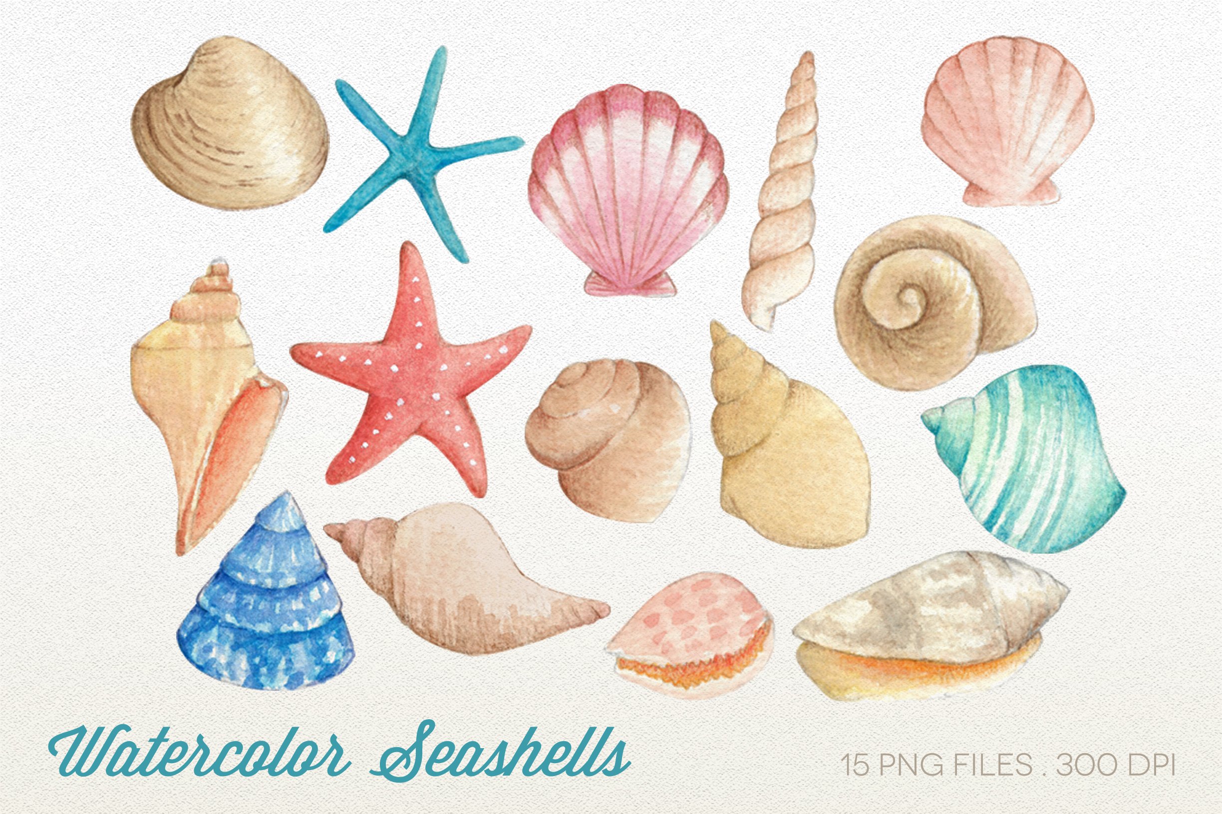 Sea Shell Art