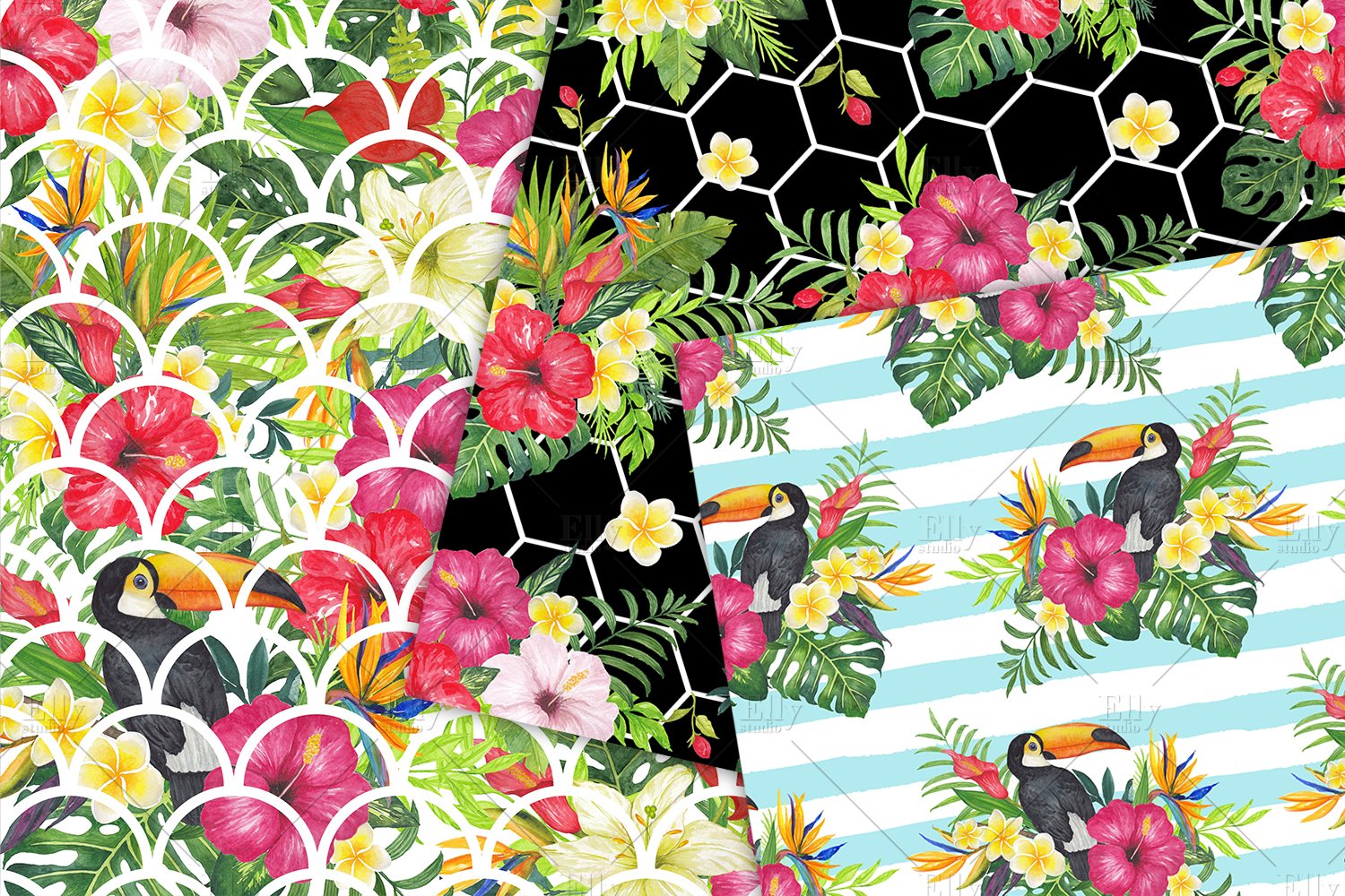 Tropical design essay 04 image