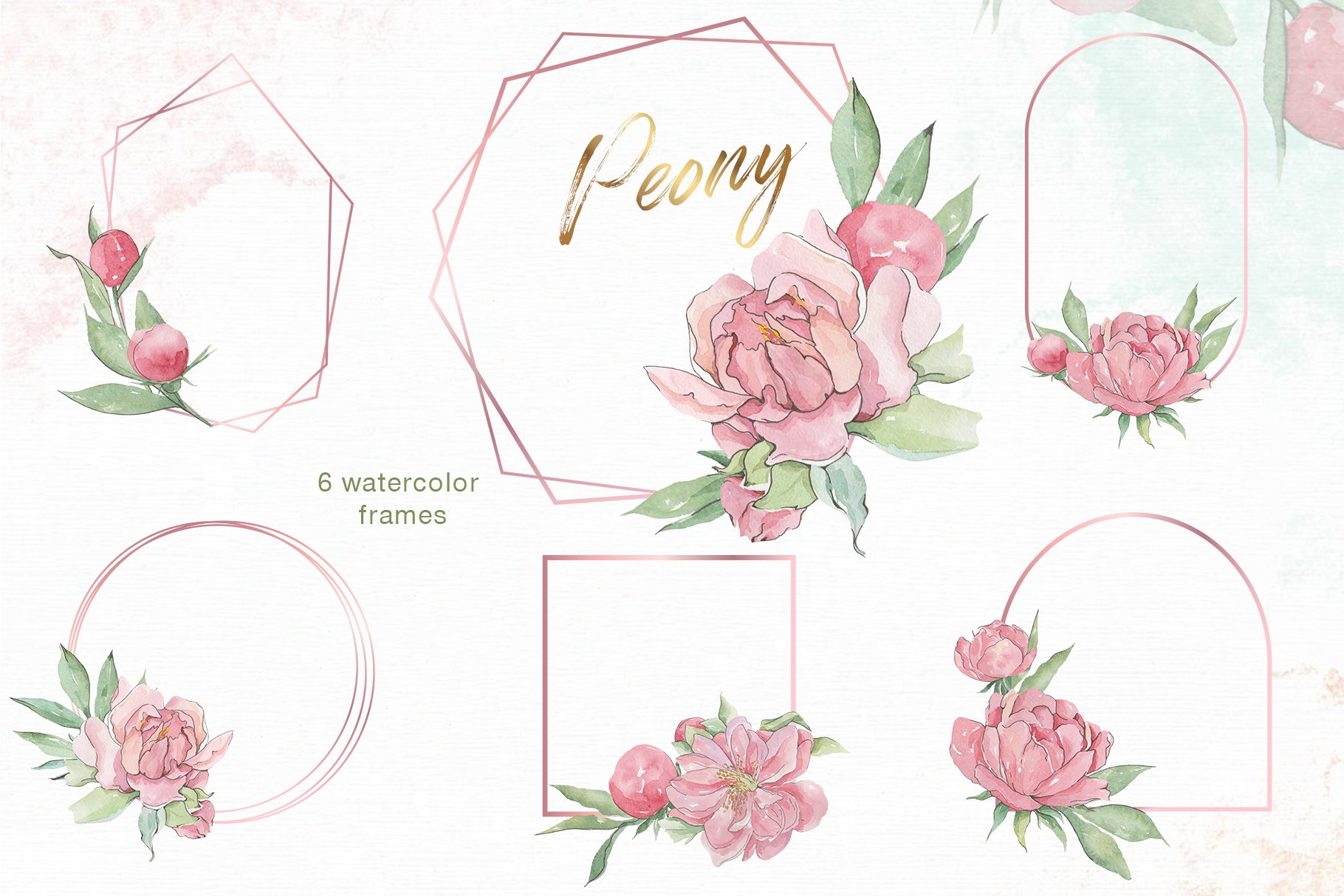 Download Peony Watercolor Collection 1241121 Illustrations Design Bundles