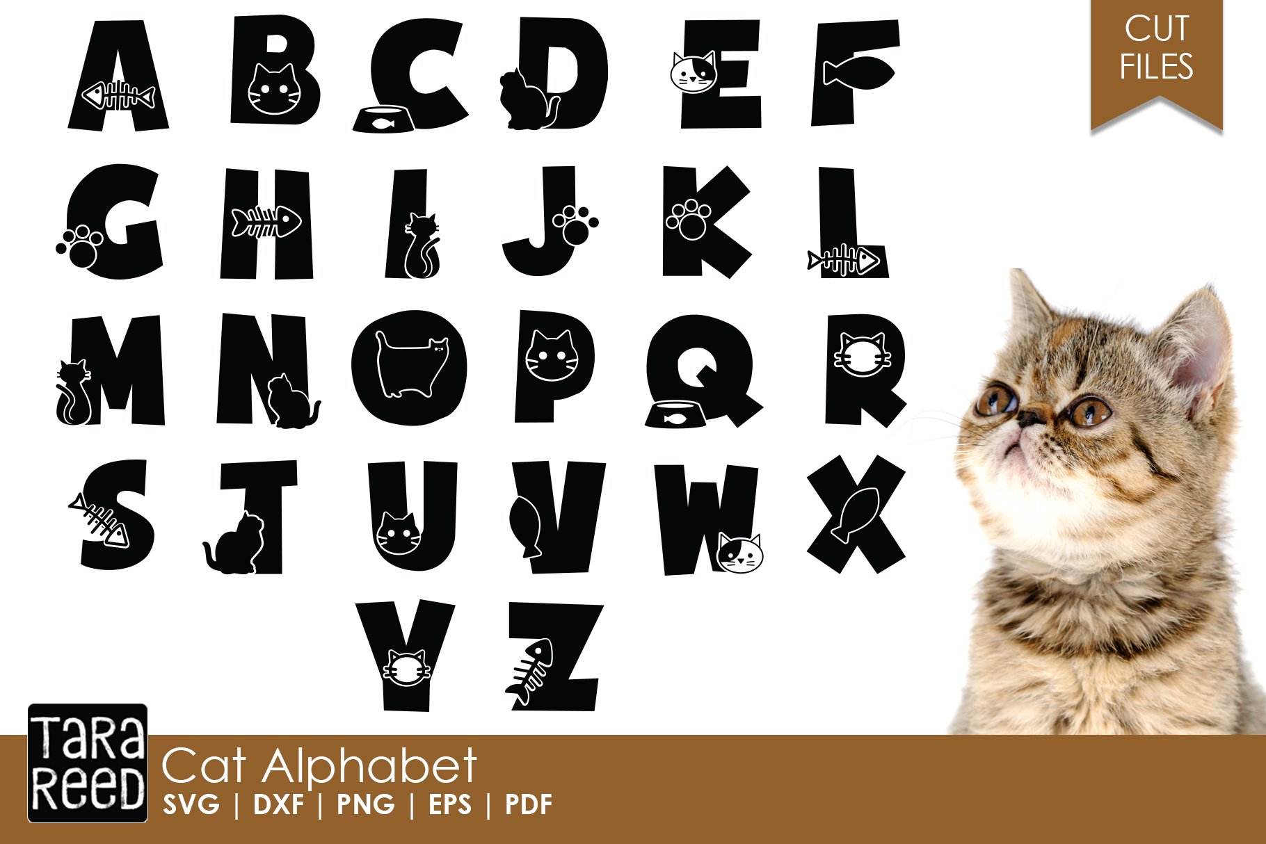 Cat Alphabet (113084)