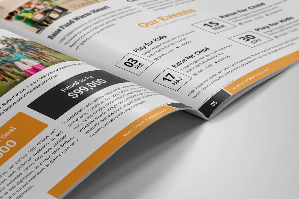 Charity Volunteer Donation Brochure (161433) Brochures Design Bundles