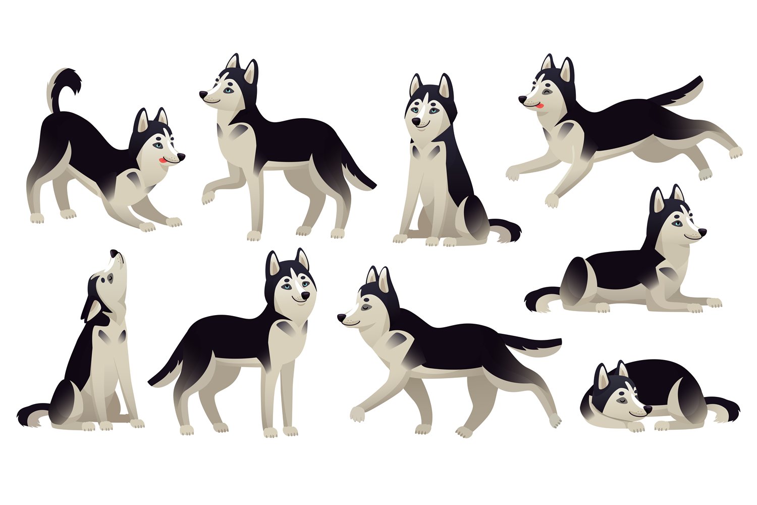 Husky dog Cartoon running, sitting and jumping