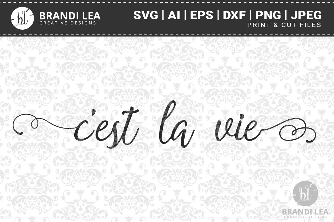 Calligraphy Le Vie Est La Vie Est Belle Postcard Life Stock Vector