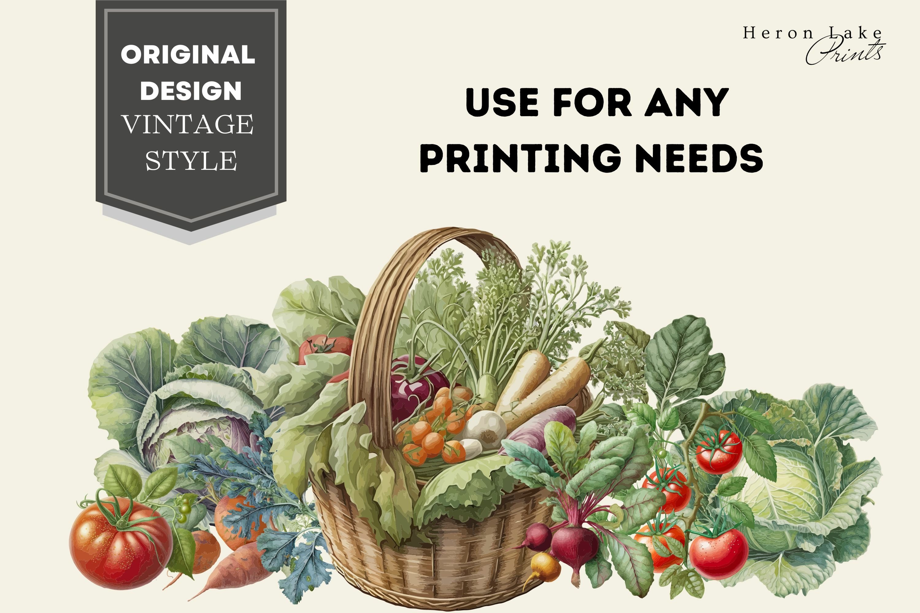 その他 VINTAGE CALIFORNIA FREE FORM VEGETABLE その他 VINTAGE CALIFORNIA FREE FORM VEGETABLE Signature SELECT