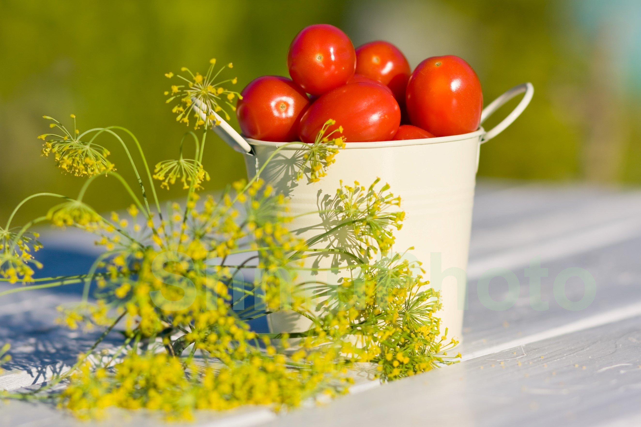 Red tomatoes and dill in metal bucket in summer (611766) Food and